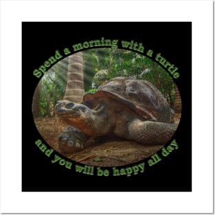 Spend a morning with a turtle and you will be happy all day Posters and Art